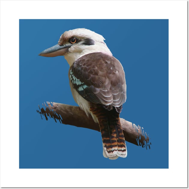 Kookaburra Wall Art by Daniel Ranger